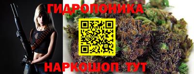 бошки Кимры