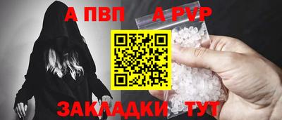 стафф Кингисепп