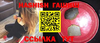 стафф Кингисепп