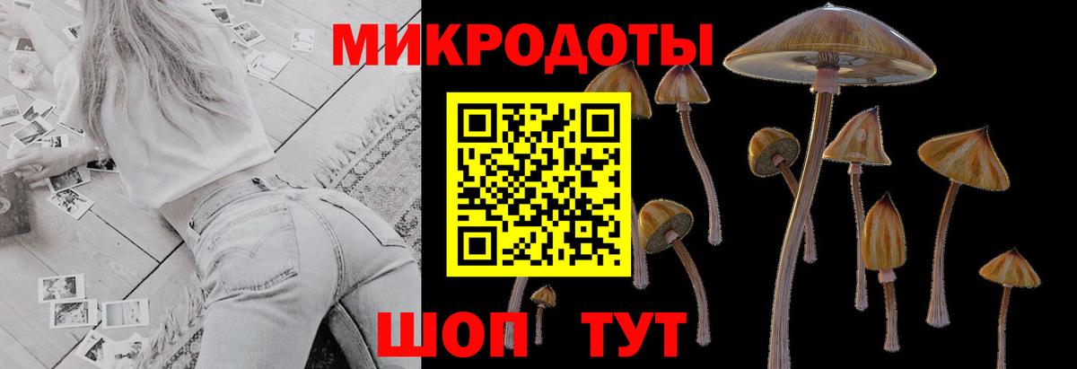 Волоколамск  Галлюциногенные грибы мицелий  Псилоцибиновые грибы прущие грибы  Вход с VPN 